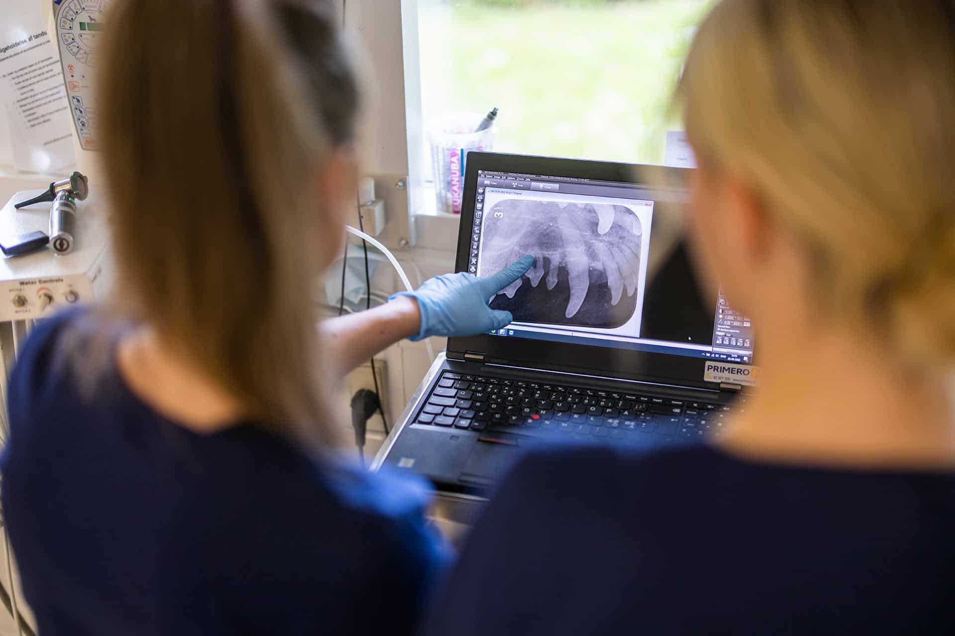 Diagnoseudstyr på dyreklinik i Greve