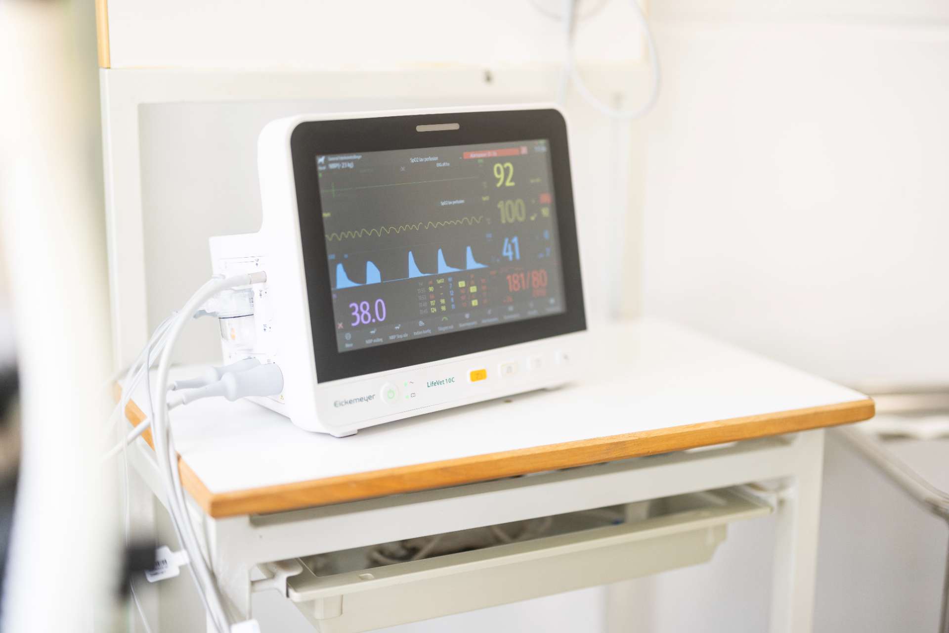 Overvågningsudstyr til dyr under operation i Greve